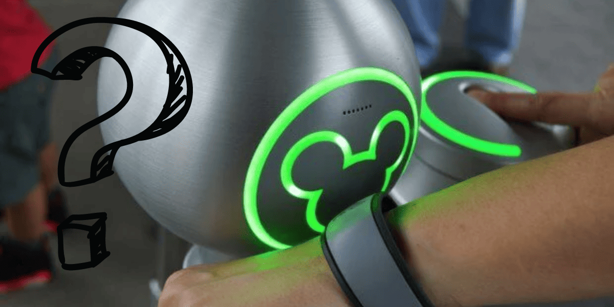 What does Disney do with your fingerprints?