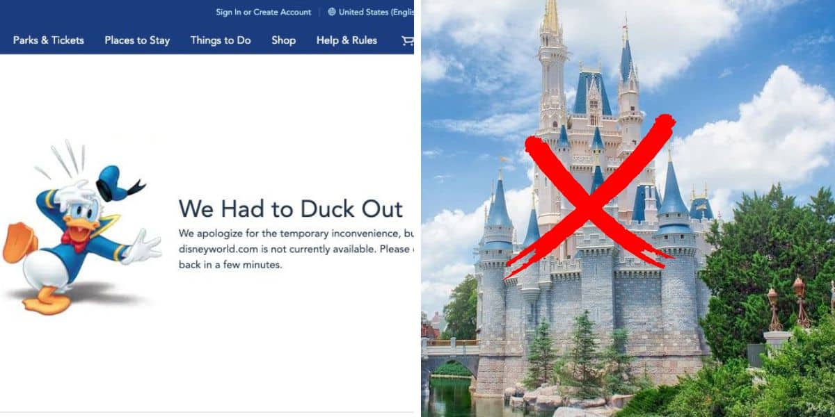 disney world website error message and cinderella castle with a red x