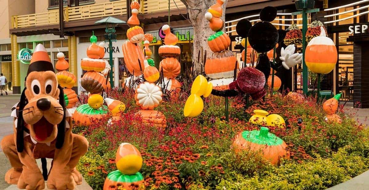 Pluto's Pumpkin Pursuit Disneyland