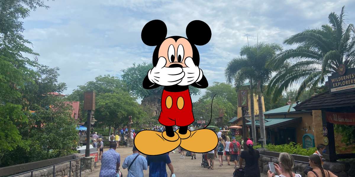 Hidden disability at Disney