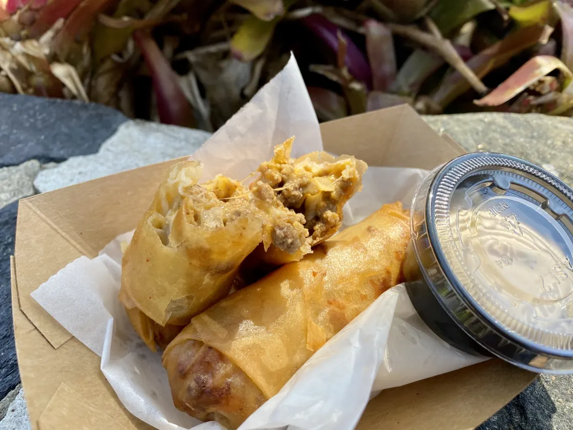Cheeseburger Spring Rolls