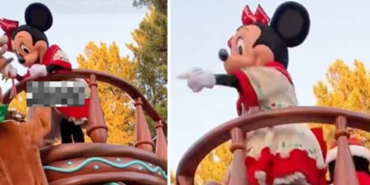 Minnie Mouse Skirted
