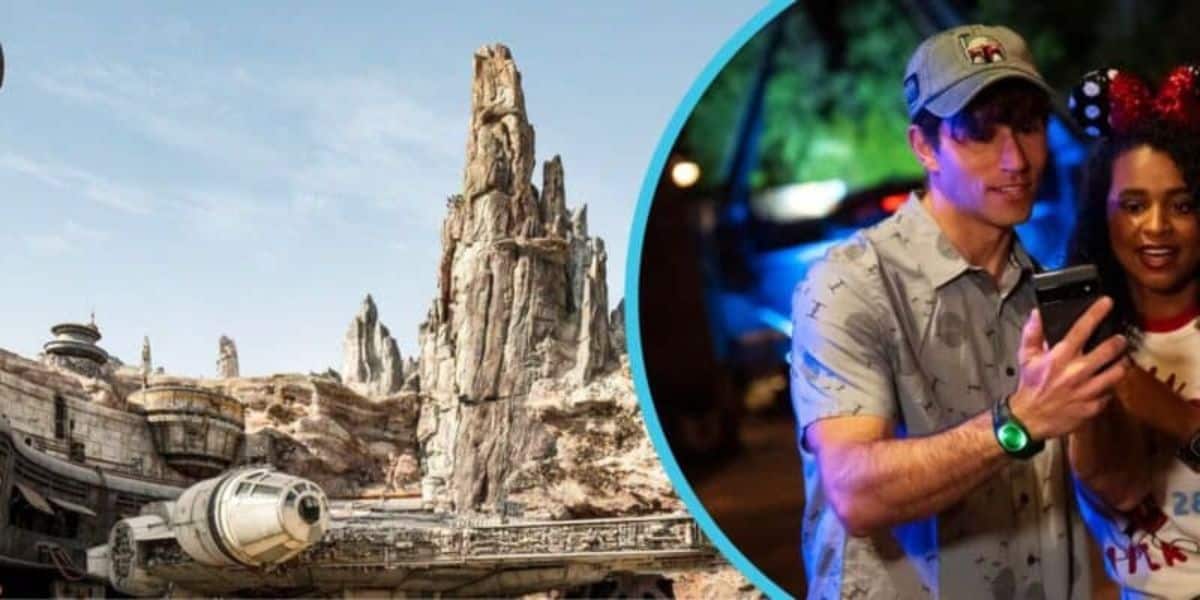 Disney Park Guests