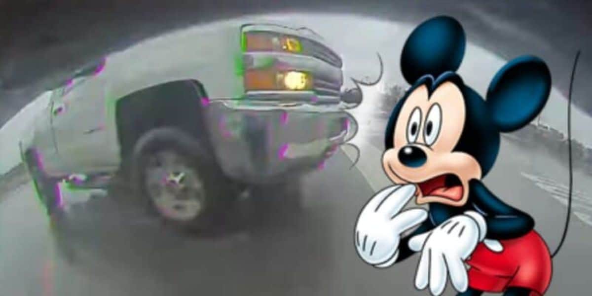 Epcot Parking Lot Accident