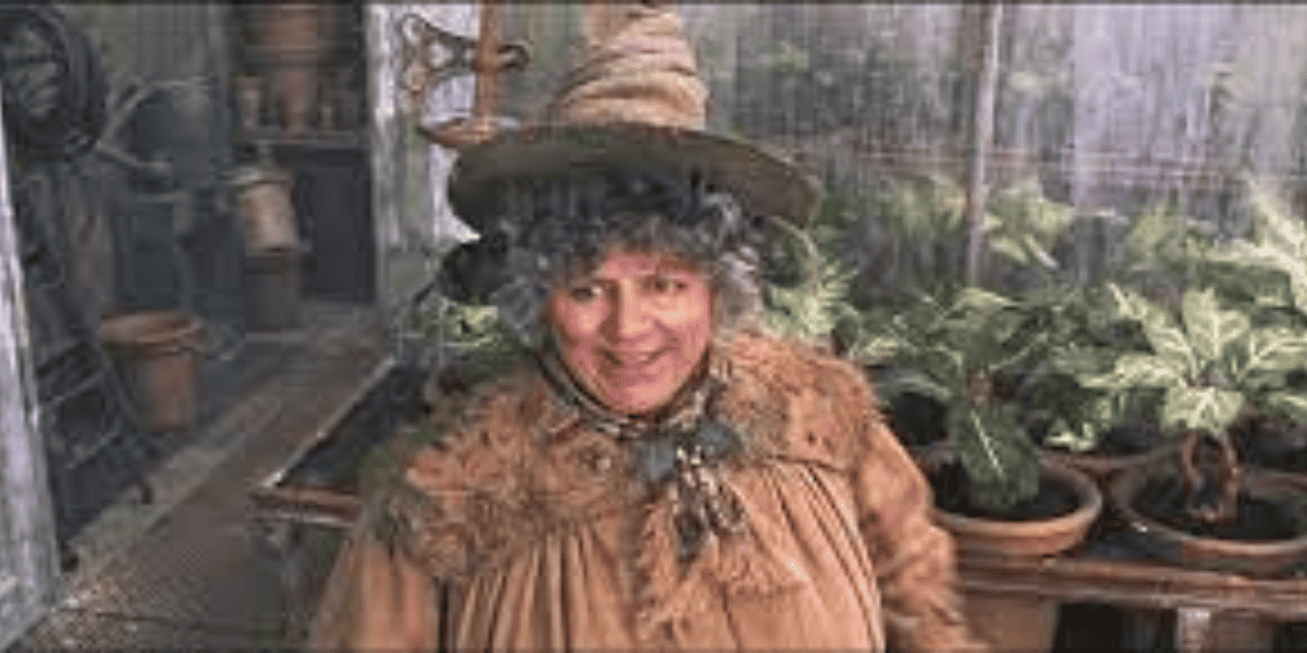 Professor Sprout Harry Potter