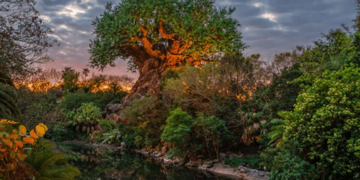 Disney World Ride