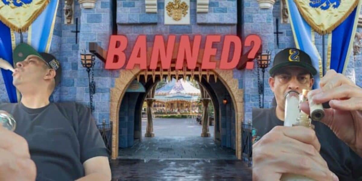 Disney Influencer Drugs Park