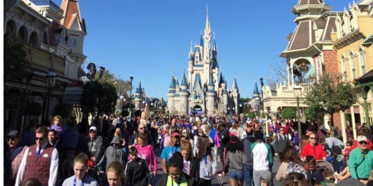 Disneyland Guests