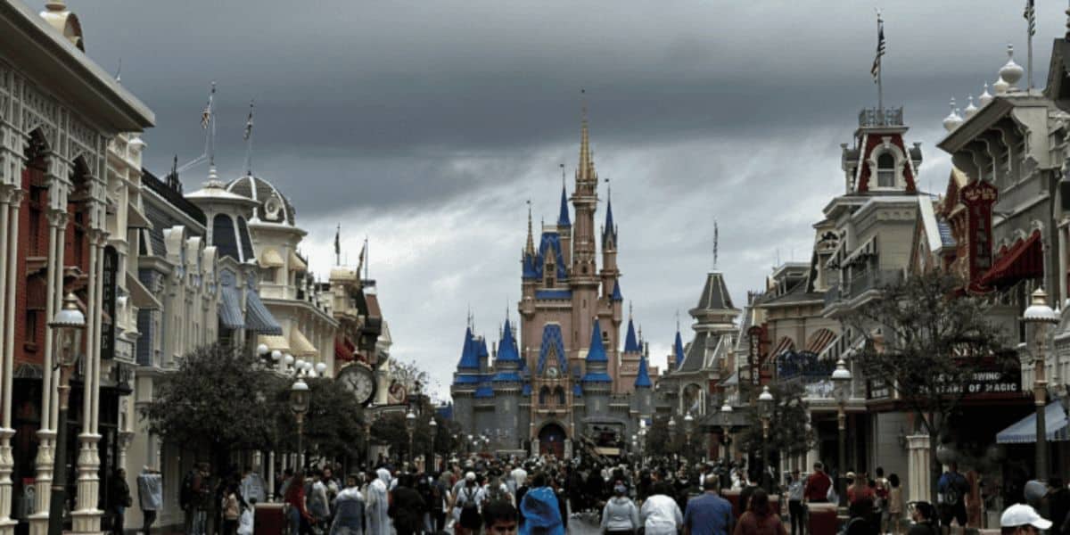 Disney Castle Guests