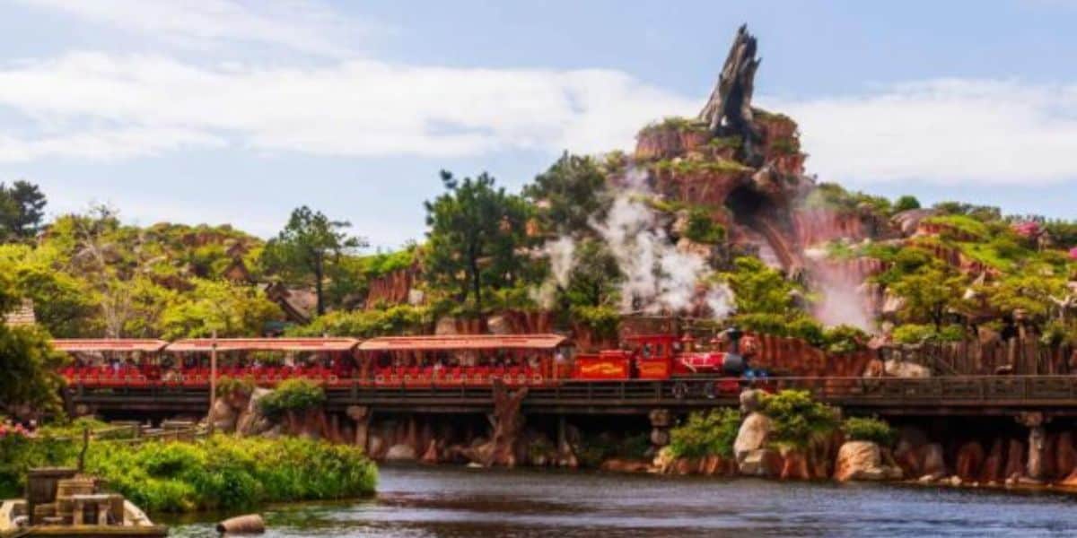 Disney Theme Park