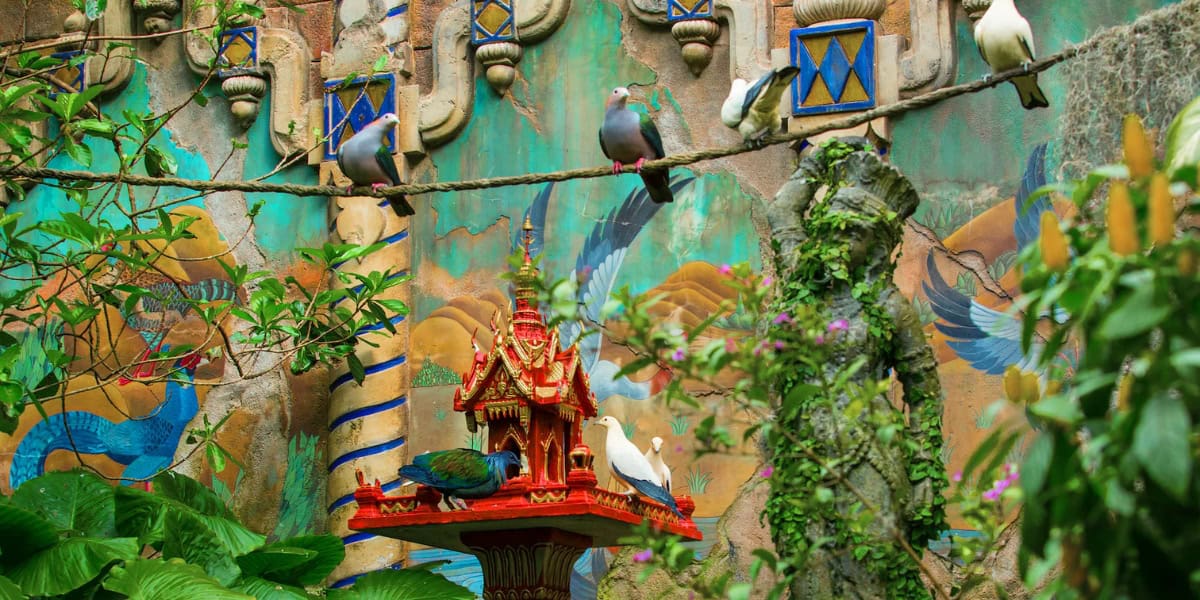 A colorful scene features various birds perched on a rope and a red ornate birdhouse. The background wall is decorated with vibrant murals of birds and abstract designs. Lush green foliage surrounds the area, creating a lively and natural atmosphere.