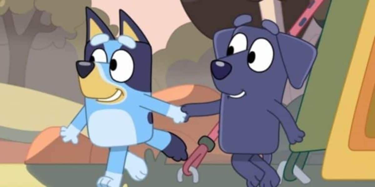 Bluey Story