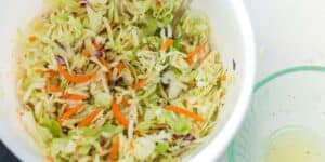 A white bowl filled with coleslaw containing shredded green cabbage, purple cabbage, and carrots. A small spoon rests in the coleslaw, and a portion of a glass bowl with a clear dressing is visible beside it. The background is white.