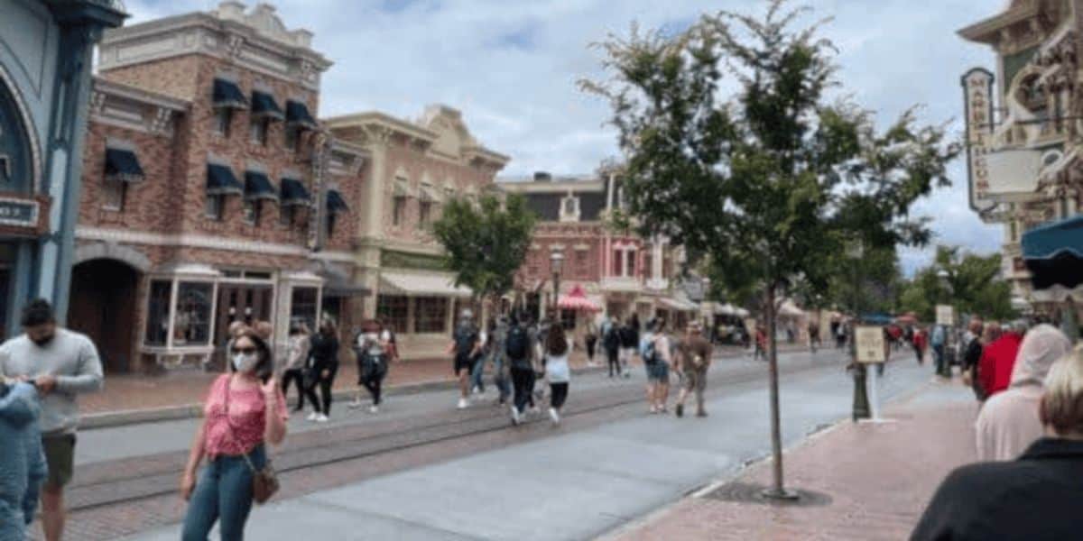 Disney World Guest