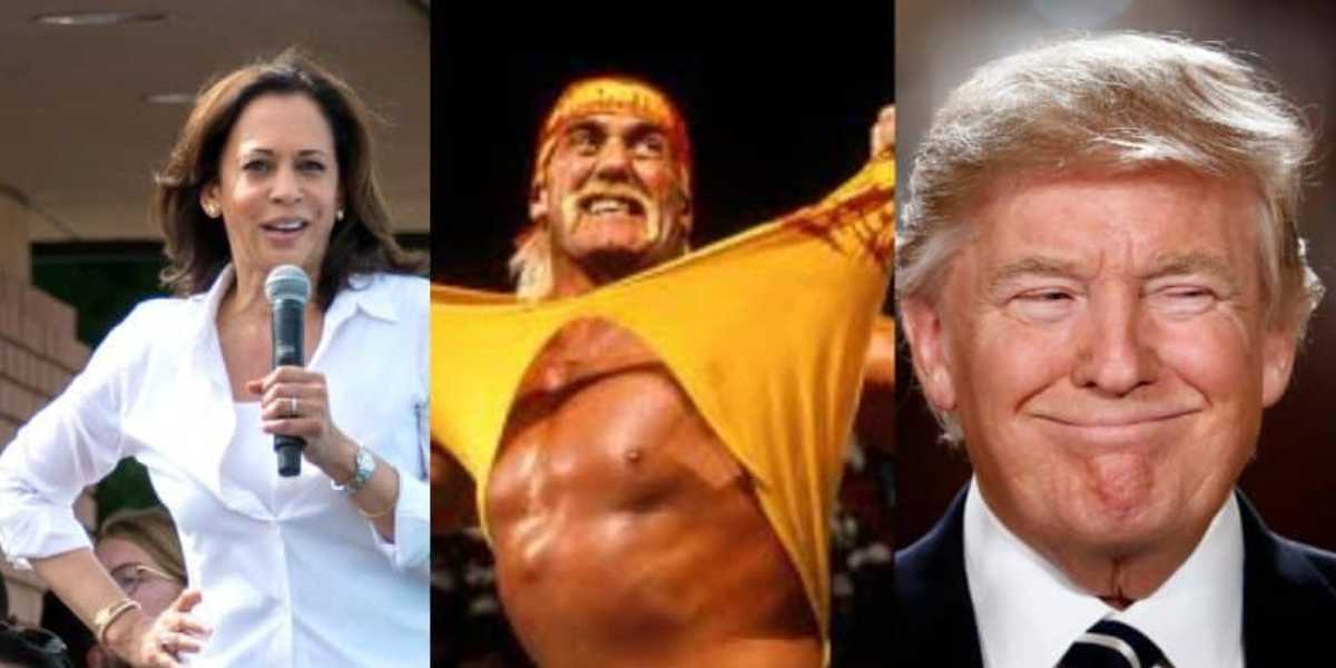 A collage of three photos: a woman speaking into a microphone in a white shirt, a muscular man ripping a yellow shirt, and a man with distinct blonde hair smiling in a suit.