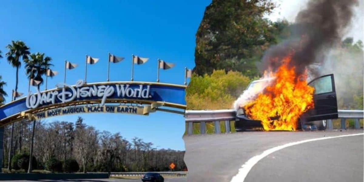 Disney Accident