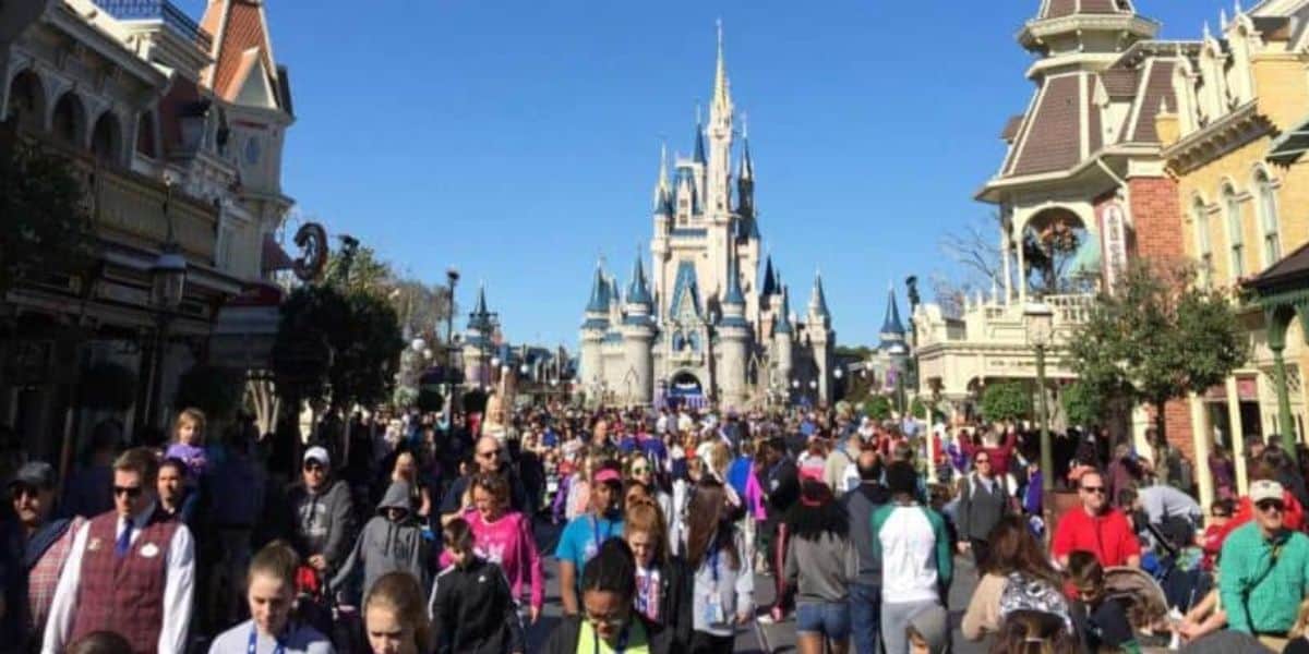 Disney Park