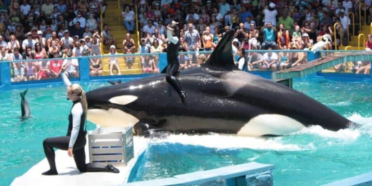 Florida Theme Park