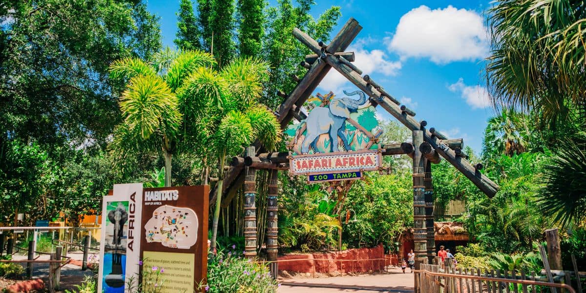 Entrance gate to Safari Africa at ZooTampa, featuring a wooden archway with a sign depicting elephants. Surrounded by lush greenery and trees, the area includes informational boards and a map, set under a clear blue sky at this Florida Zoo.