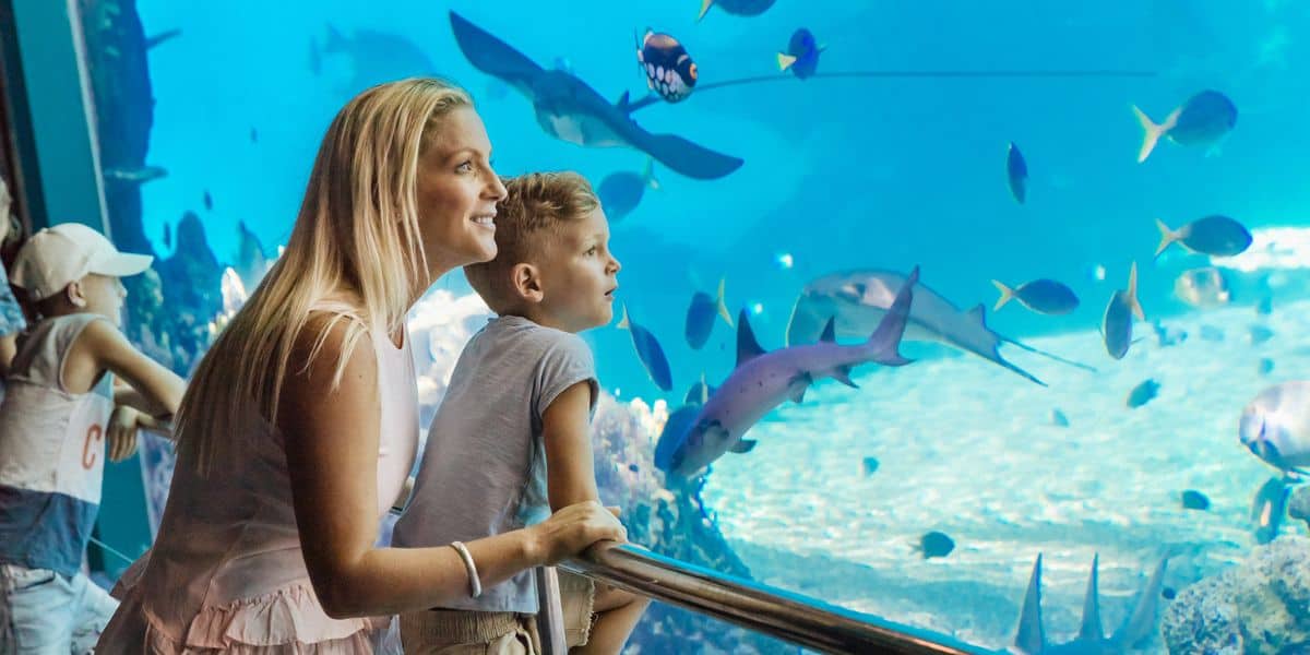 A woman and child are smiling as they look at various fish and marine creatures swimming in a large aquarium. The scene includes stingrays and colorful fish with a vibrant blue background. Other visitors are also admiring the display.