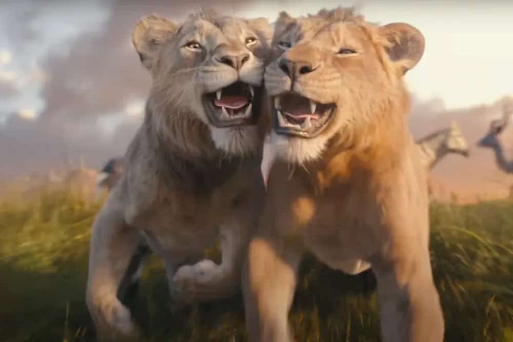 Mufasa and Scar in Mufasa The Lion King