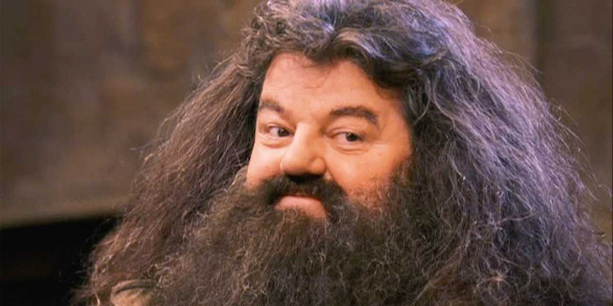 Robbie Coltrane as Hagrid