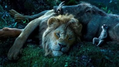 Simba with Timon and Pumbaa in the live-action Lion King