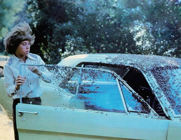 Christian Juttner in The Swarm (1978)