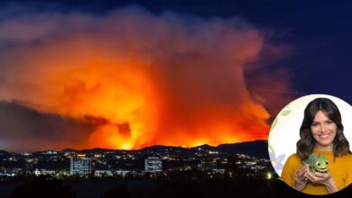 The Palisades Fire over Los Angeles with an insert of Tangled star Mandy Moore