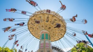 People enjoy a ride on a large swing carousel against a clear blue sky. The ride's ornate canopy features intricate patterns, while its long chains hold seats where riders swing outwards. Green trees are visible in the background.