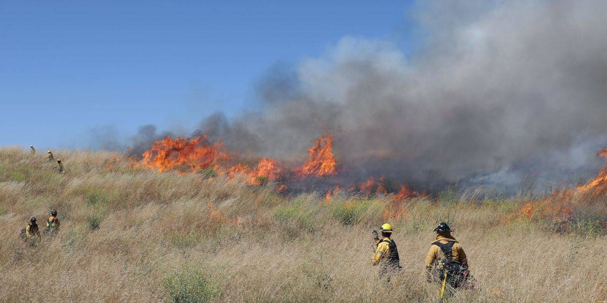 Firefighters in protective gear work to contain a large grass fire under a blue sky. Flames and smoke rise in the background as they navigate the dry field.
