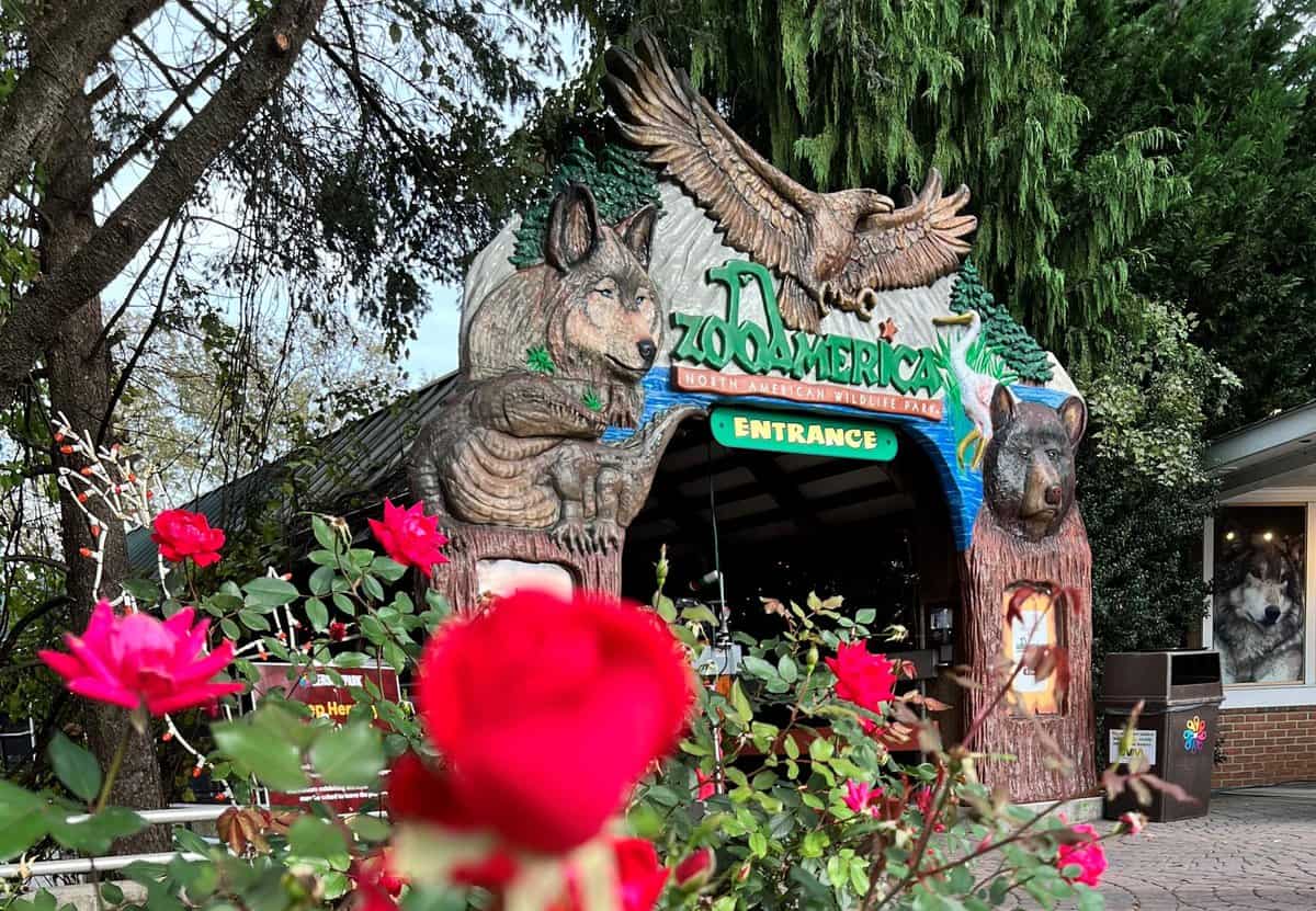 Entrance to ZooAmerica with a decorative archway featuring animal carvings, including a wolf and a bear. Bright red roses are in the foreground, and tall trees surround the area. An eagle sculpture is perched atop the archway at this theme park.