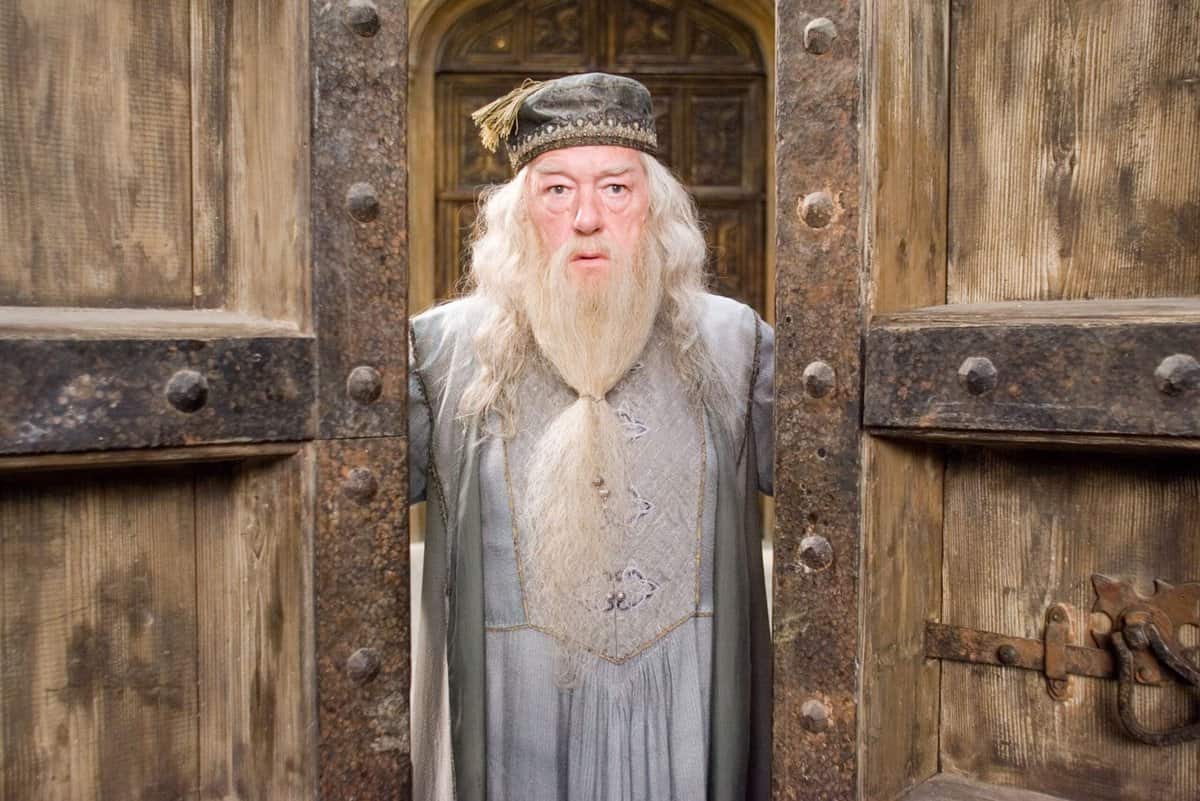 Michael Gambon as Albus Dumbledore