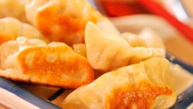 Pot stickers at Lotus Blossom Cafe in EPCOT