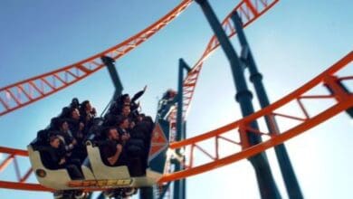 People ride a roller coaster with orange tracks under a clear blue sky. The car is white with "SPEED" written on the side, and passengers appear excited or thrilled as they experience the ride.