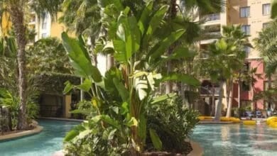 Lazy River at Club Wyndham Bonnet Creek