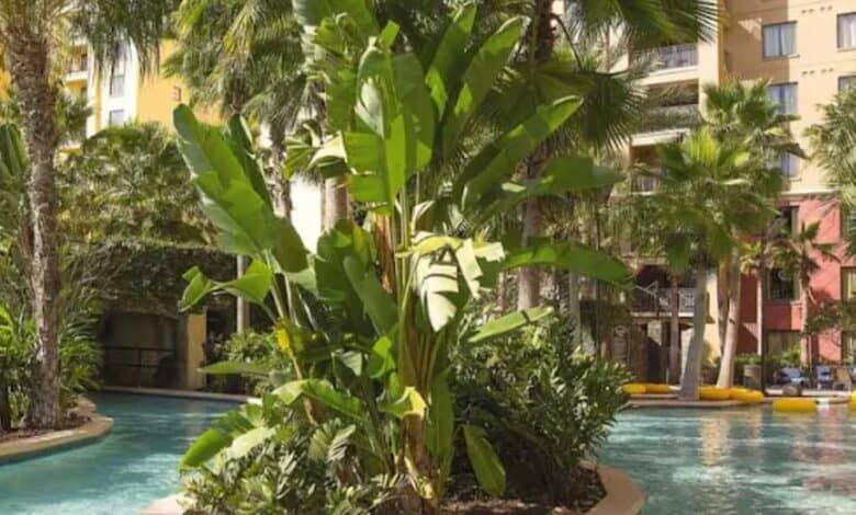 Lazy River at Club Wyndham Bonnet Creek