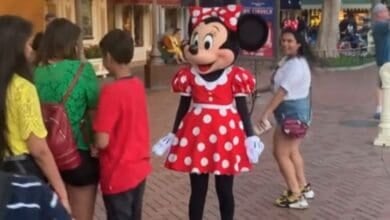 Minnie Mouse turns around after getting hit by a guest.