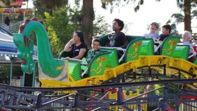 Dragon roller coaster at Playland