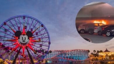 Disney California Adventure with an insert of a car fire