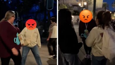Two women fight at Disney California Adventure park