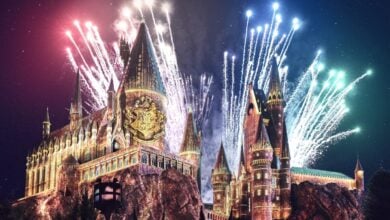 Hogwarts Castle illuminated at night with colorful fireworks bursting overhead, creating a magical atmosphere reminiscent of Universal Orlando entertainment. The detailed castle stands tall amidst trees, glowing vibrantly under the night sky.