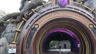 A person stands inside a large, ornate circular doorway with the words "IT'S ALIVE! IT'S ALIVE!" above. The entrance is decorated with twisting tree roots and gears, and features a glowing purple interior.