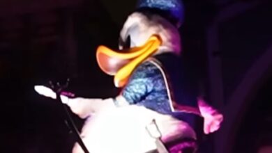 Donald Duck waving off a Disney Park guest in frustration during the Paint the Night parade