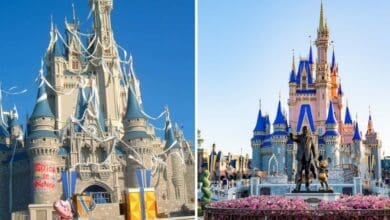 Split image of Cinderella Castle at Disney World: the left side shows the castle decorated with toilet paper and a banner, while the right side displays the castle clean and surrounded by flowers and a statue as Disney 626 day begins.