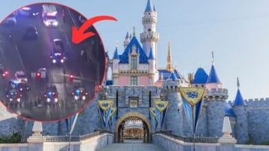 A photo of Disneyland’s Sleeping Beauty Castle with an inset image showing police cars and flashing lights at night, indicated by a red arrow.