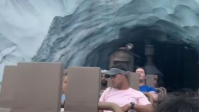 Several people evacuate at the top of Expedition Everest.