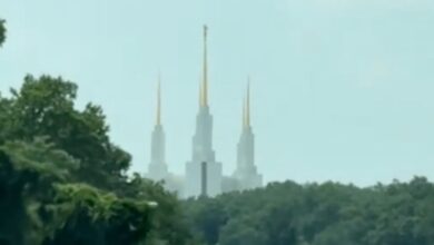The Mormon Temple in Washington D.C. that many have compared to a Disneyland Castle.