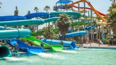 Soak City is a large outdoor water park featuring winding blue, green, yellow, and orange water slides that empty into a clear swimming pool, surrounded by palm trees and people enjoying the sunny day.