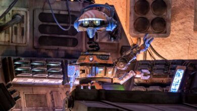 DJ R-3X at Oga's Cantina in Star Wars Galaxy's Edge
